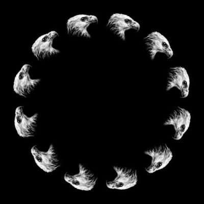 EAGLES round preview