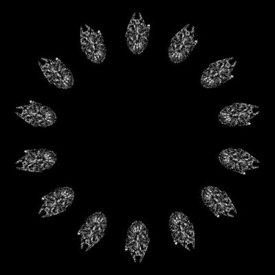 Millenium Falcon wireframe round preview