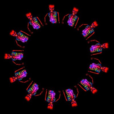 Skeleton round preview