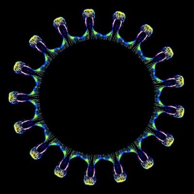 Neon Halloween round preview