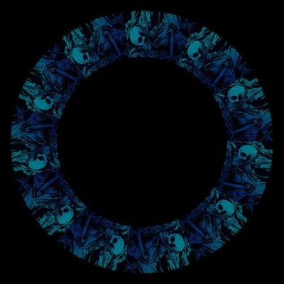 blue pirate skulls round preview