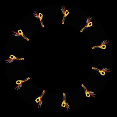 Skyfire Salute round preview