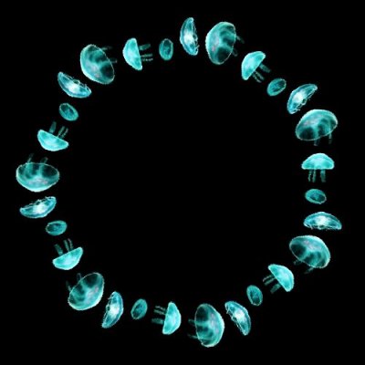 Best jellyfish pattern round preview