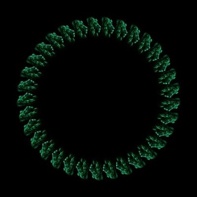 Ivy Lion round preview