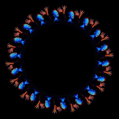 Mega trippy round preview