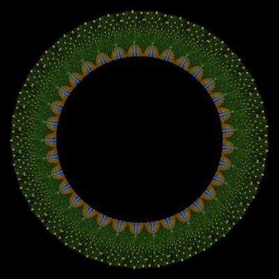 Peacock round preview