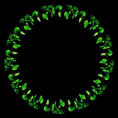 feuille verte round preview