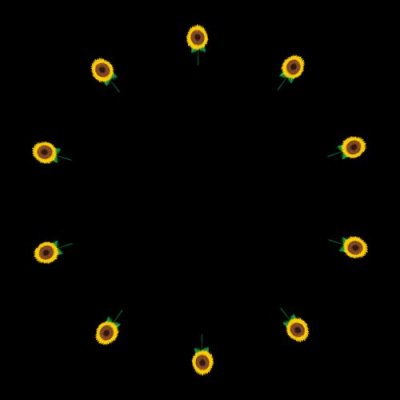 Sunflower round preview