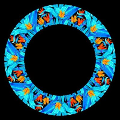 tropical round preview