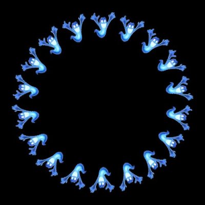 157283029117635715 round preview