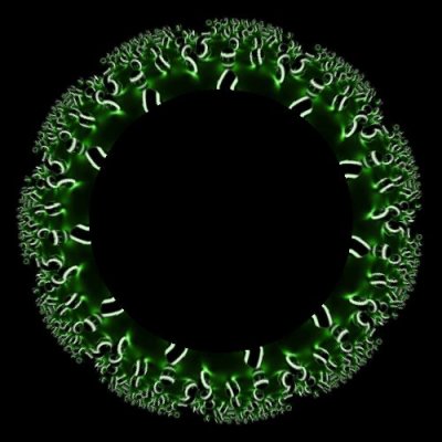 Green Balls round preview