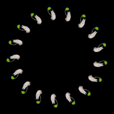 Totoro round preview