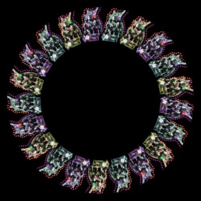 pattylol 02 round preview