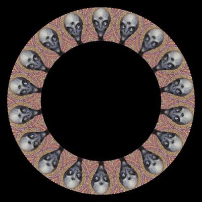 5CDE96BB CE77 4568 8393 5945688A3787 round preview