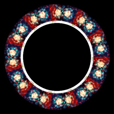 cell division round preview