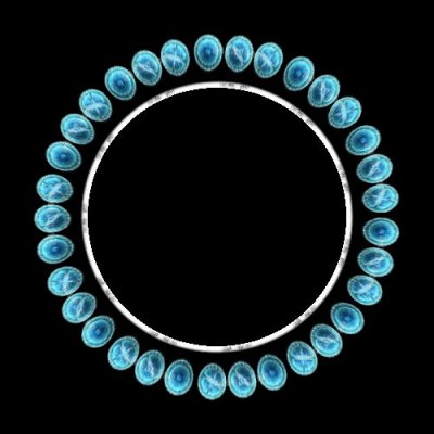 cellular division round preview