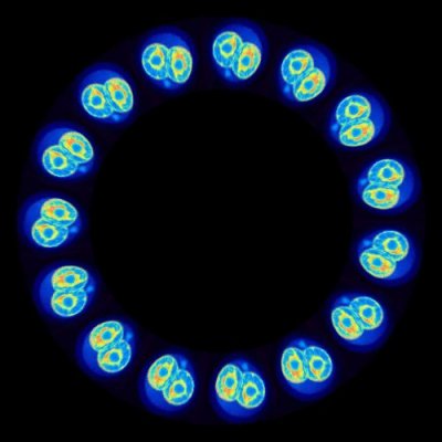 cell division 0 round preview