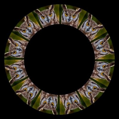 shutterstock bird round preview