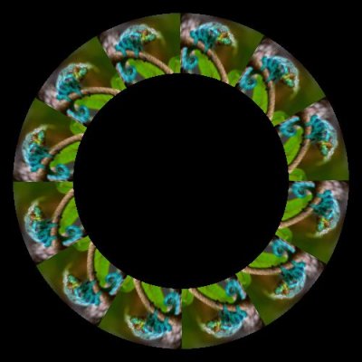 Colorful Chameleon round preview