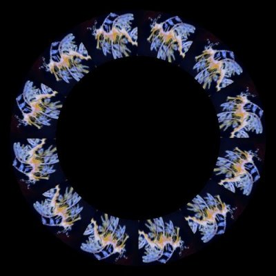 Birch Aquarium15 round preview