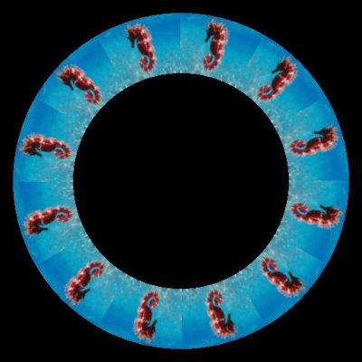 seahorse round preview