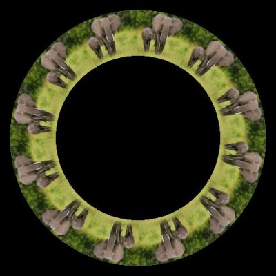 elephant round preview