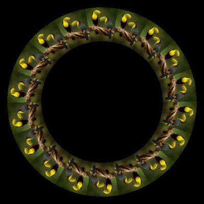 toucan round preview