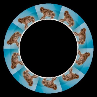 monkey ocean backround blue sky round preview