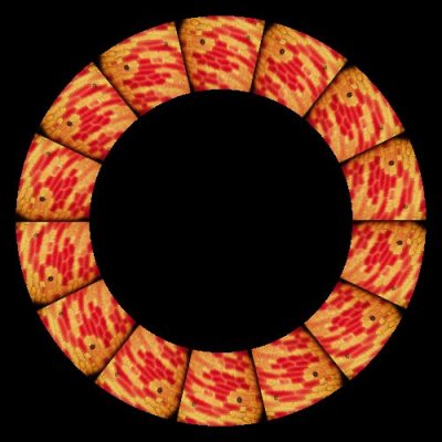 cell microscopic round preview