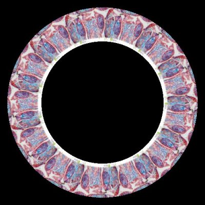 cell flower 3 round preview