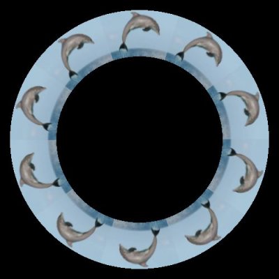 dolphin round preview