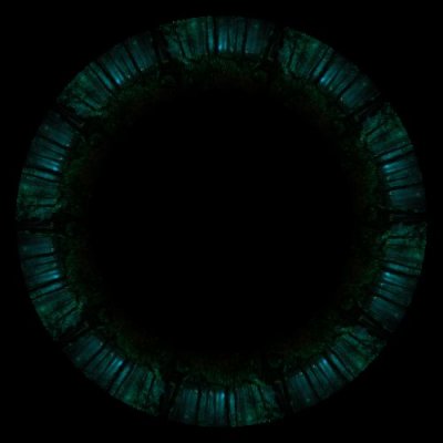 forest  2 round preview