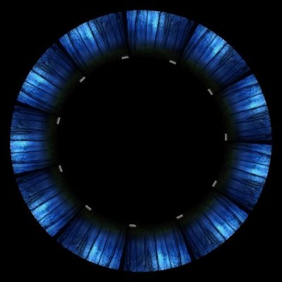 forest 3 round preview