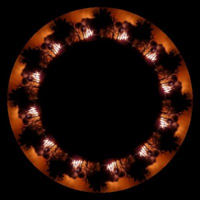 forest fire round preview