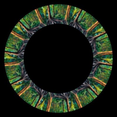 forest 5 round preview