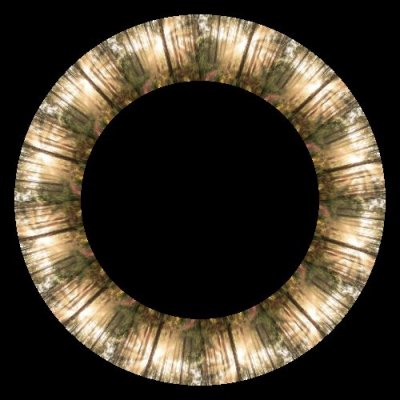 forest 6 round preview