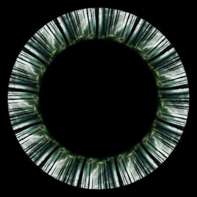 forest 7 round preview