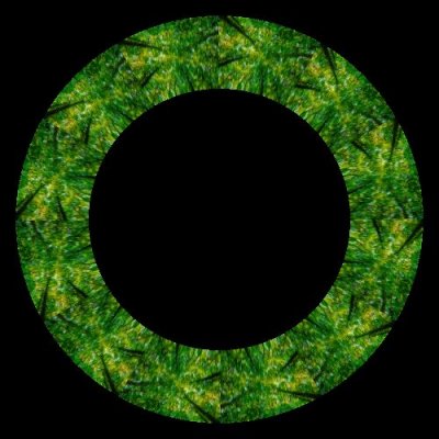 forest bathing round preview