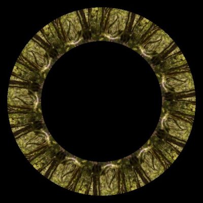 forest 9 round preview