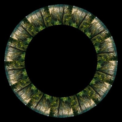 black spur forest round preview