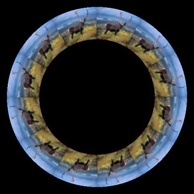 caribou round preview