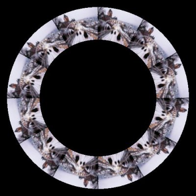 quebeccity round preview