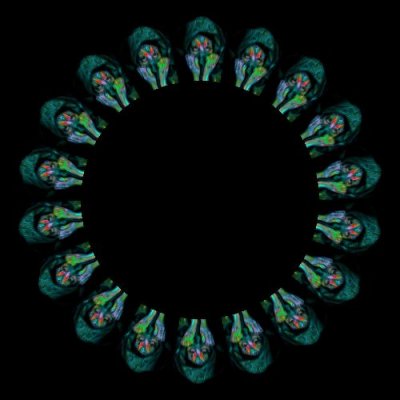 face painting round preview