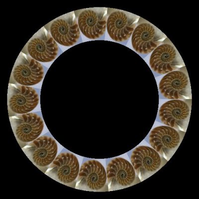 opt  aboutcom  coeus  resources  content migration  mnn  images  2013  04  fractals nature round preview