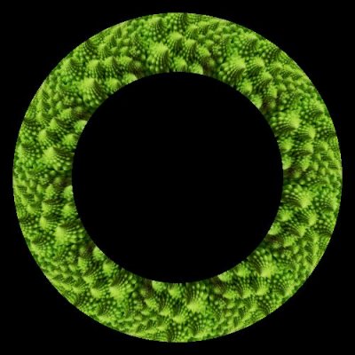 nature fractals round preview