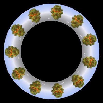 FRACTALS round preview