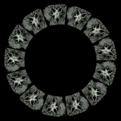 fractal trippy 26 round preview