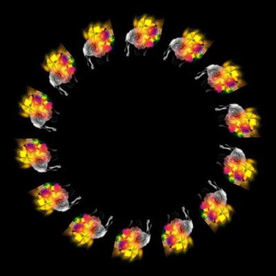 Psychedelic lead round preview