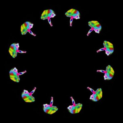 psychedelic colourful 17 round preview