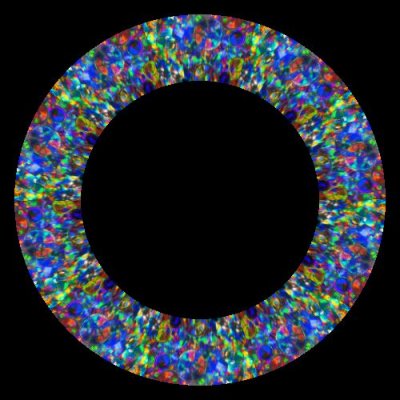 Woodstock by David Clode round preview